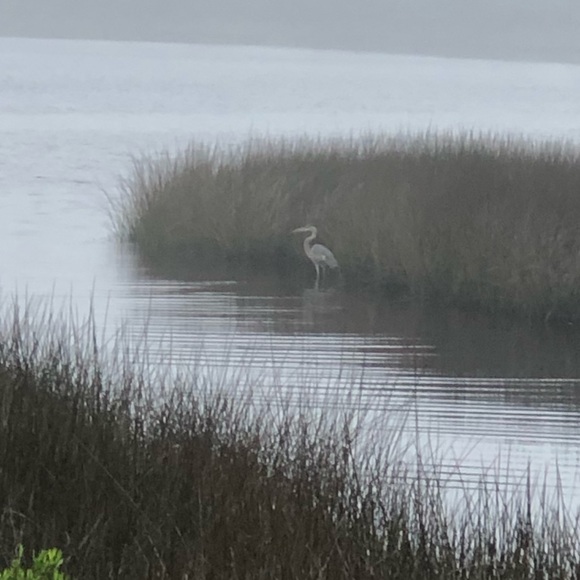 Posh Ambassador II - Welcome! - Picture 13 of 14